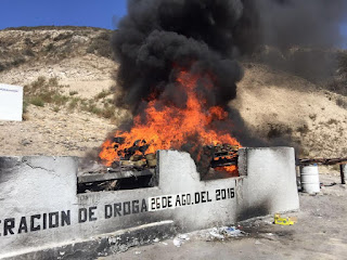 PGR INCINERA CASI 2 TONELADAS DE NARCÓTICOS EN TIJUANA