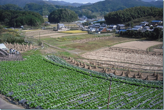 DSCF0131