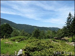 IMG_0440