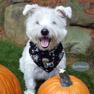  Day of the Dead Sugar Skull Pups Halloween Dog Bandana