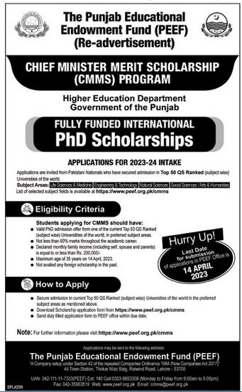 jobs in The Punjab Educational Endowment Fund