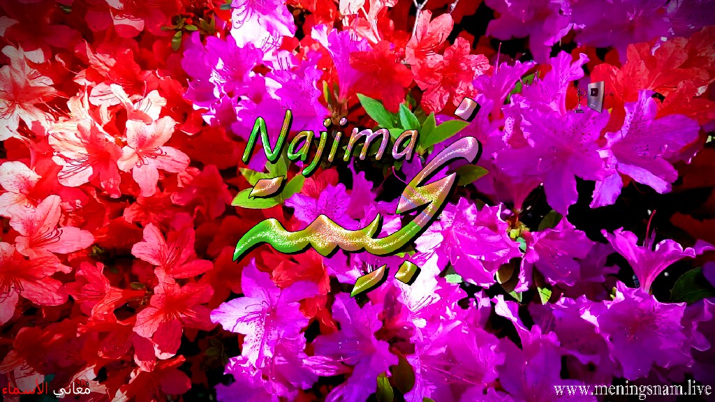 معنى اسم, نجيمة, وصفات, حاملة, هذا الاسم, Najima,