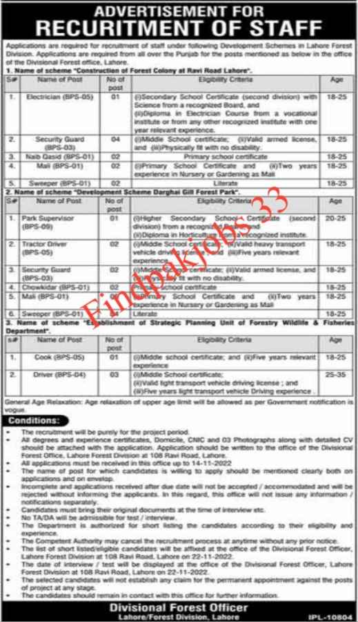 Latest Forest Division Lahore  Jobs 2022 Advertisement