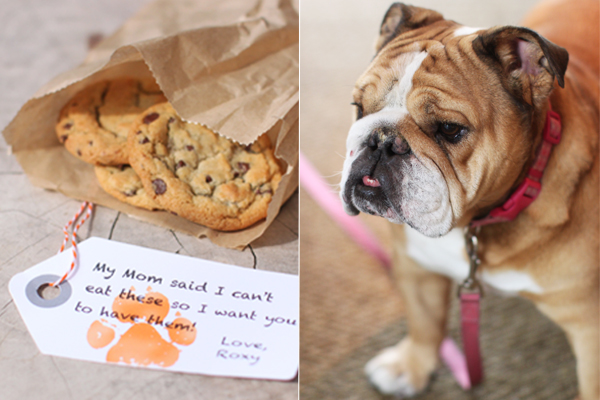Cookies from Roxy the bulldog - Carmel Valley Ranch