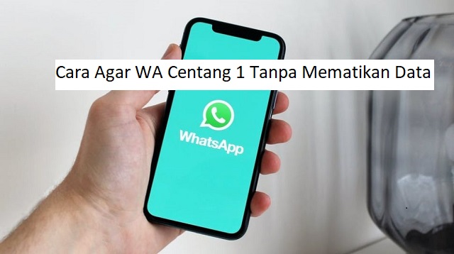 Cara Agar WA Centang 1 Tanpa Mematikan Data