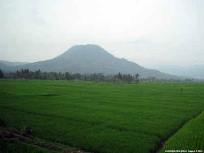 Pemandangan alam di waktu pagi