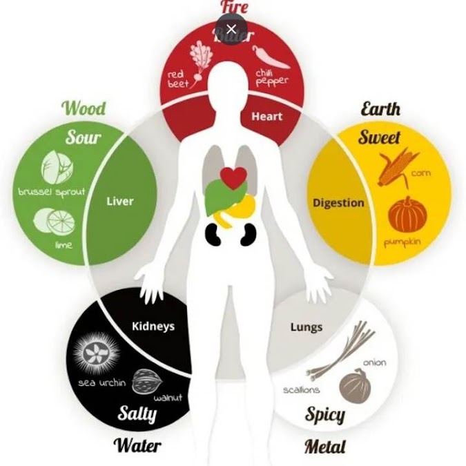 The Five Elements of Chinese Herbal Medicine: Balancing Body and Mind