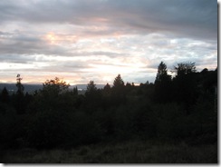 the view 03