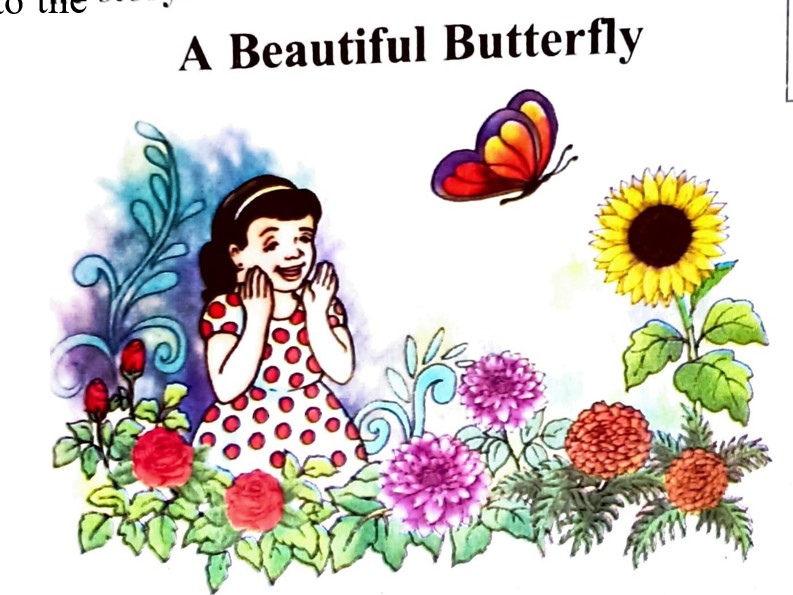 Lesson 2 || A Beautiful Butterfly || Class 2 SCERT English Assam