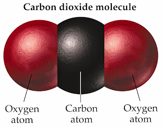 Carbone dioxide  molecule 