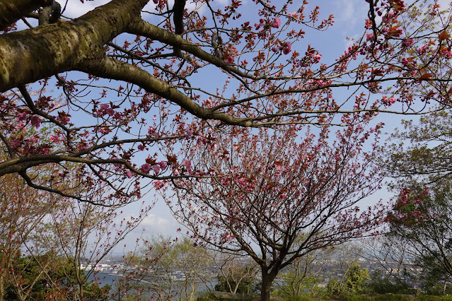 米子城跡山頂　カンザン (関山）