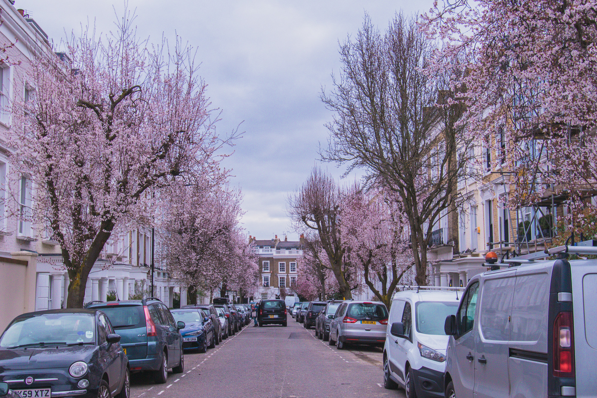 Courtnell St during spring