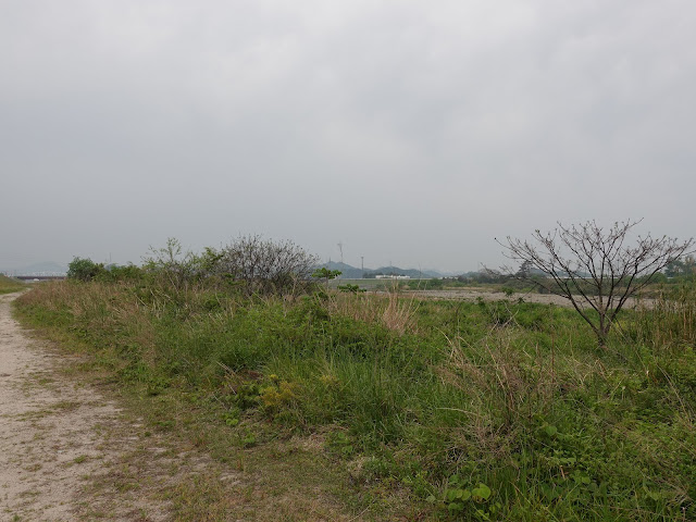 日野川河川敷