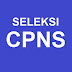 Seleksi Kompetensi Dasar CPNS Serentak Mulai 27 Januari 2020