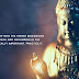 Practice Moving into Higher Dimensions and Coming Back | Alcazar Quotes