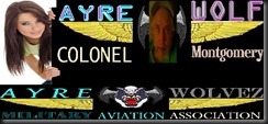 new ayre sig1