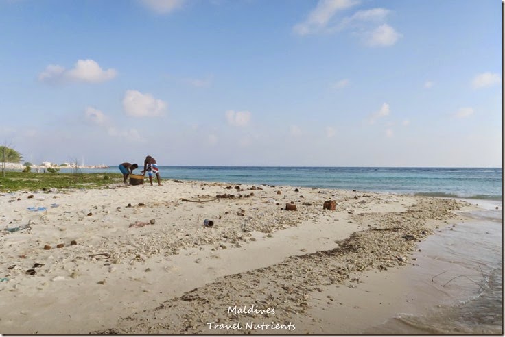 馬爾地夫居民島Mahibadhoo- Amazing Guesthouse (26)