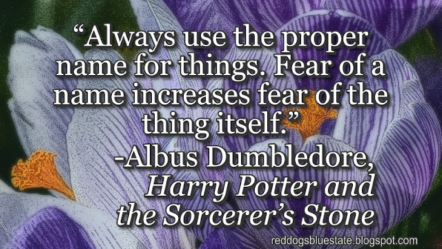 “Always use the proper name for things. Fear of a name increases fear of the thing itself.” -Albus Dumbledore, _Harry Potter and the Sorcerer’s Stone_