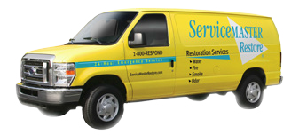 mold removal in Savannah