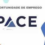 Confira: Mais de (8) Vagas de Emprego disponíveis na Pace Services...