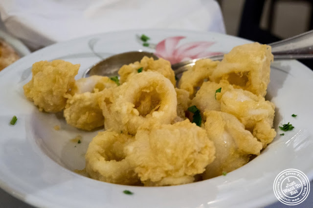 image of calamari fritti or fried calamari at Il Colosseo in Bensonhurst, Brooklyn, New York