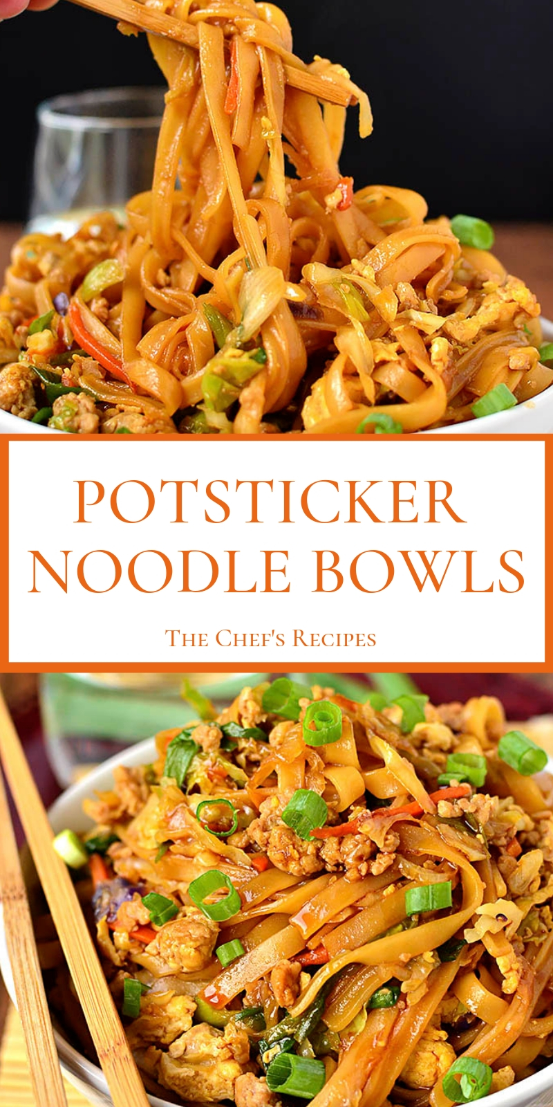 POTSTICKER NOODLE BOWLS 