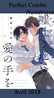 http://mangaconseil.com/manga-manhwa-manhua/digital-manga-guild/boy's-love/the-perfect-combo/