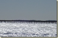 oysterbeds_1