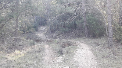 GR-7 MONT-RAL A LA RIBA, sender al bosc de Torrell a Mont-ral