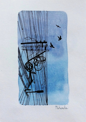 Pigeons illustration