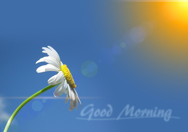 good morning images hd