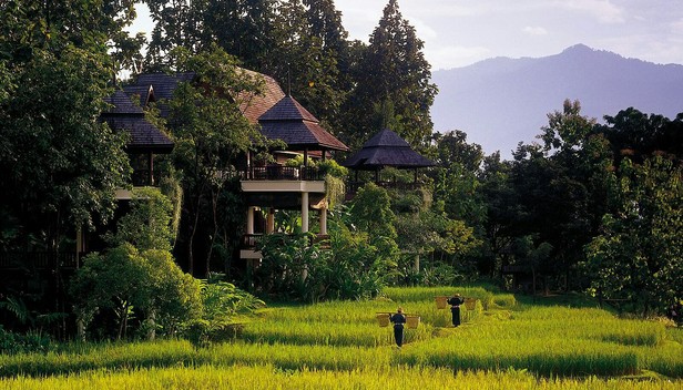 ừng rậm Chiang Mai