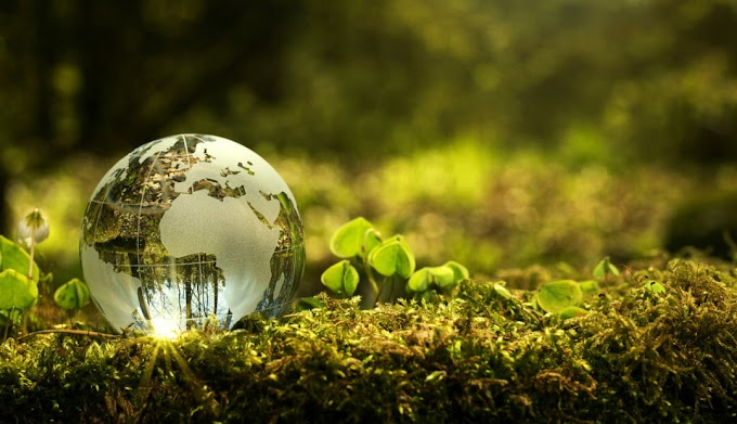 Are Green Businesses Viable?