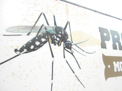 Mutirão contra a dengue