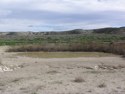 balsa de Torrecilla de Valmadrid