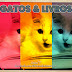 Mais Gatos & Livros 