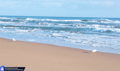 أفضل 10 شواطئ الأحلام بالمغرب