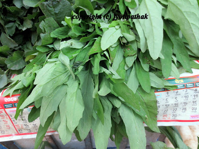 Information about Green Leafy Vegetables Nepal 