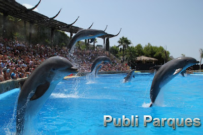 Delfines Mundomar