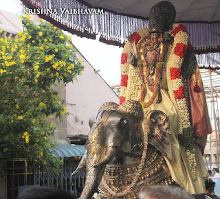 Thiruvallikeni, Sri PArthasarathy Perumal, Temple, Sri Rama NAvami, Yaanai Vahanam, Sri Ramar, 2017, Video, Divya Prabhandam,Utsavam,