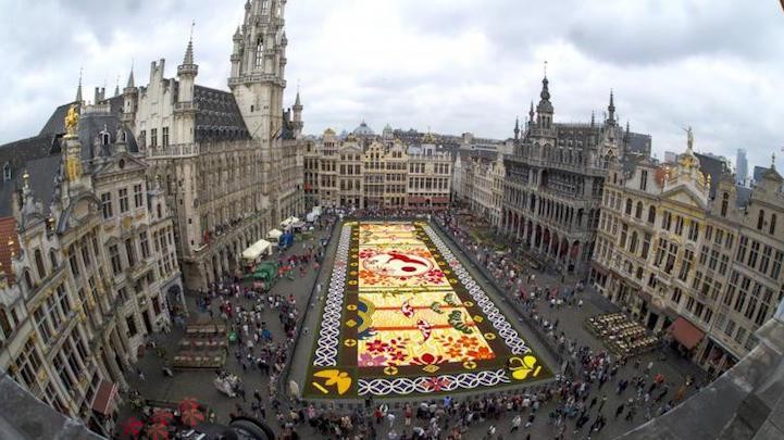 Belgium Makes Enormous Flower 'Carpet' Out of 600,000 Blooms To Celebrate 150 Years of Friendship With Japan