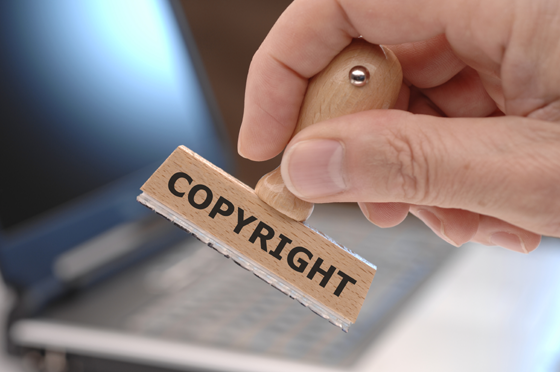 Copyright, Интеллектуальные права и отказ от ответственности за информацию, размещенную на Портале