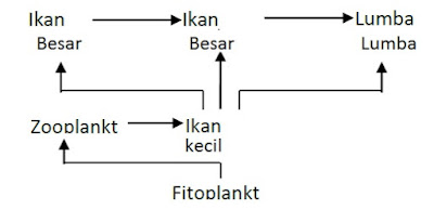 BIOLOGI GONZAGA: 200 SOAL BIOLOGI POPULAR