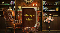 Hidden 247 Antique Store