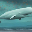 Deep Sea Whales