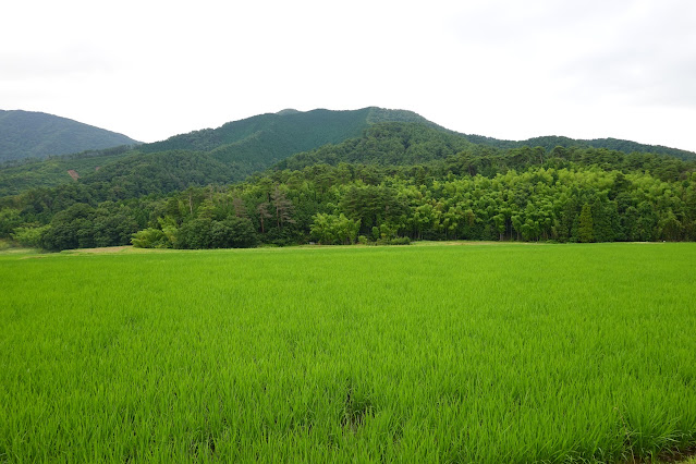 鳥取県西伯郡大山町赤松