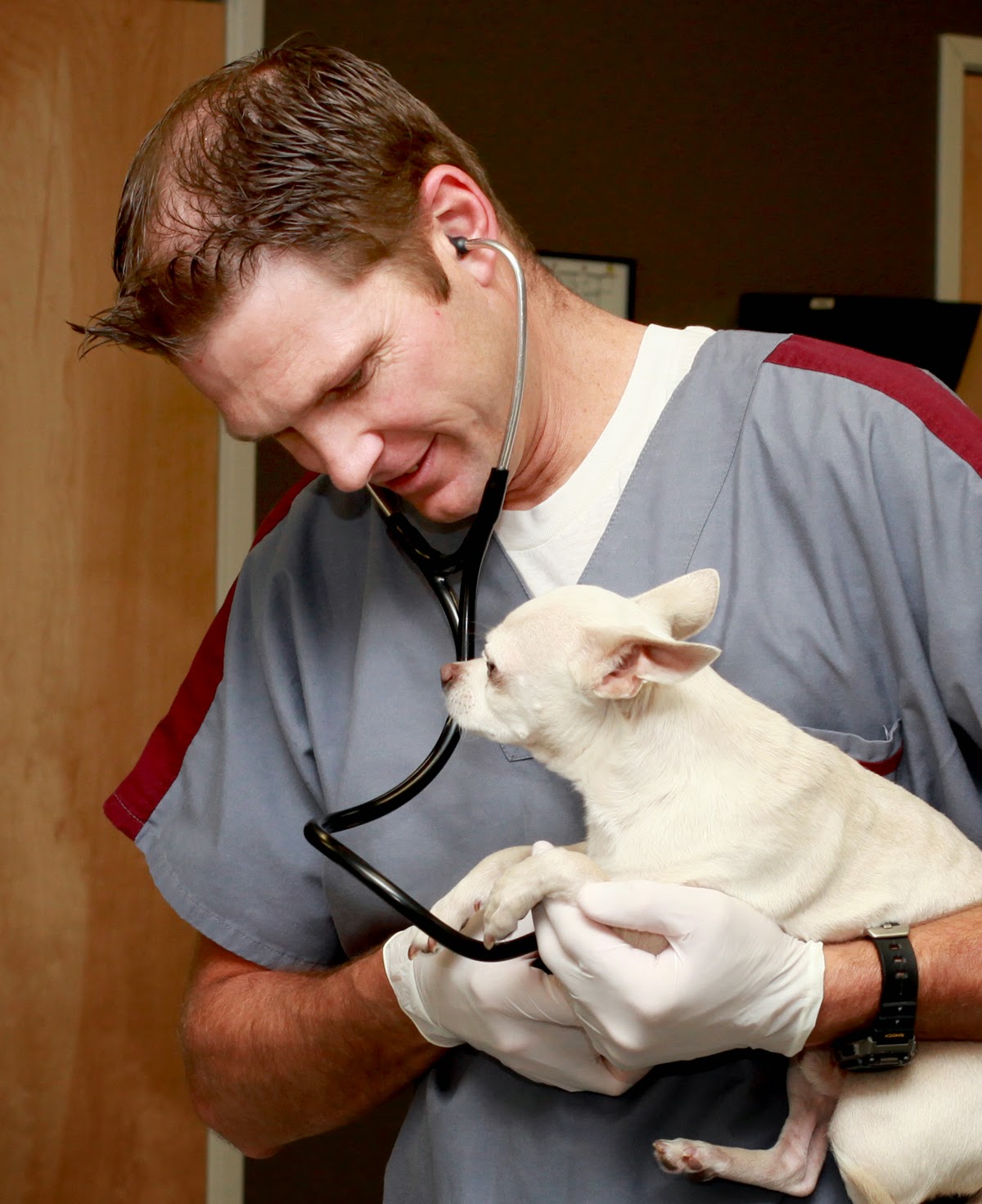 1st Pet Veterinary Centers Blog Getting To Know Dr Lunt