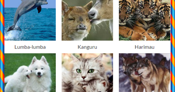 Daftar Nama 51 Binatang  Mamalia  Nama Gambar Binatang  A Z