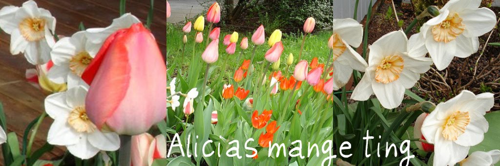 Alicias mange ting