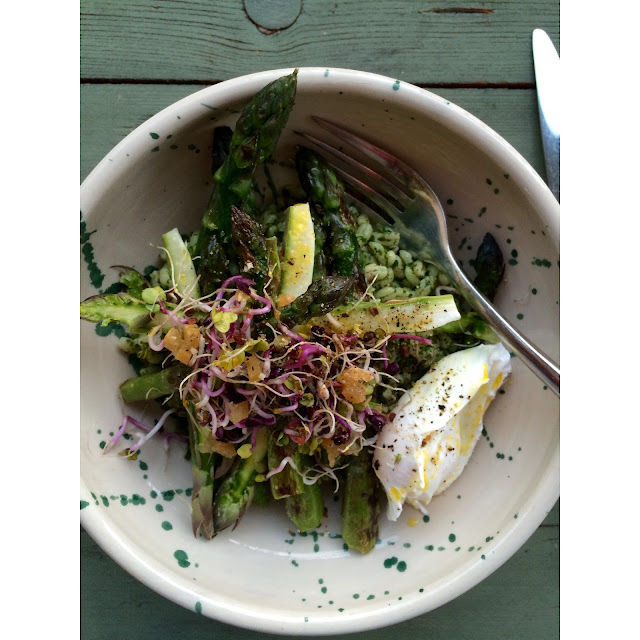 Barley bowl with coriader oil and asparagus two ways